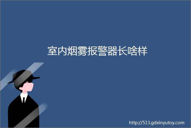 室内烟雾报警器长啥样